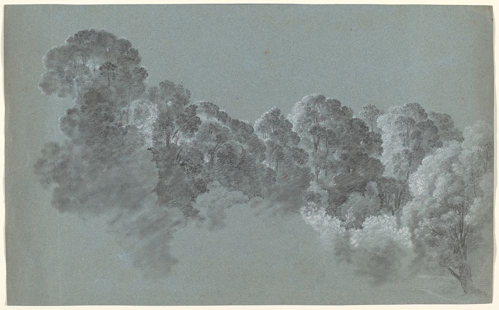 Forest Treetops Struck by Light (c. 1800) by Heinrich Rieter.  