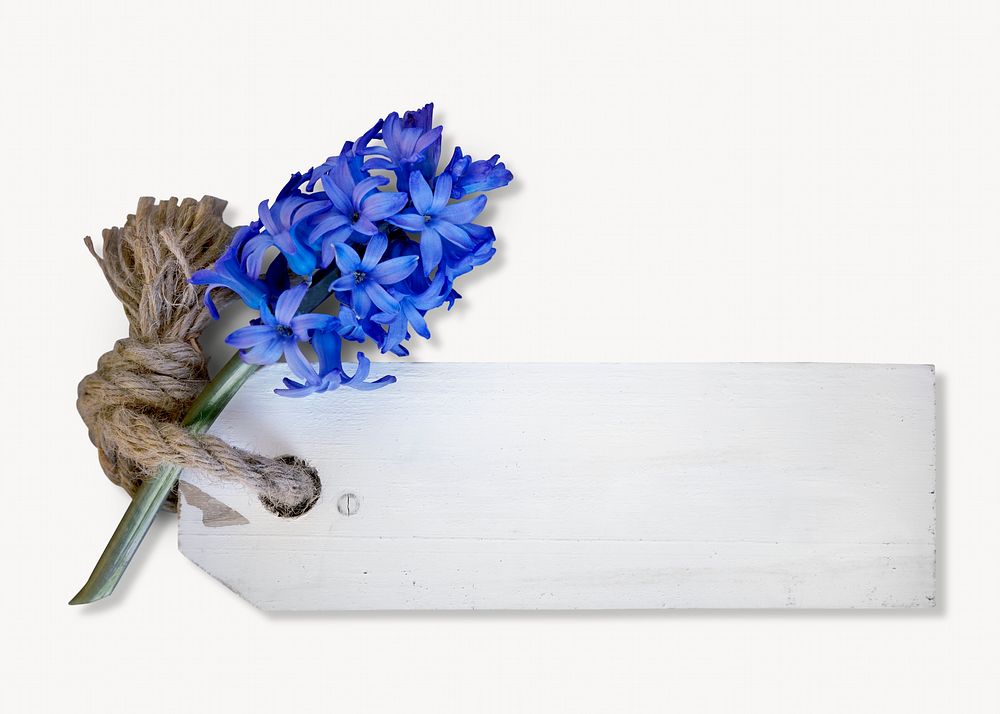 Hyacinth & label image, isolated on white