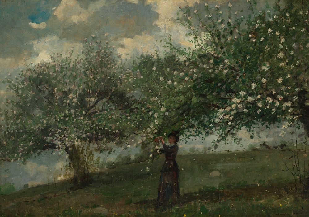Girl Picking Apple Blossoms (1879) by Winslow Homer.  