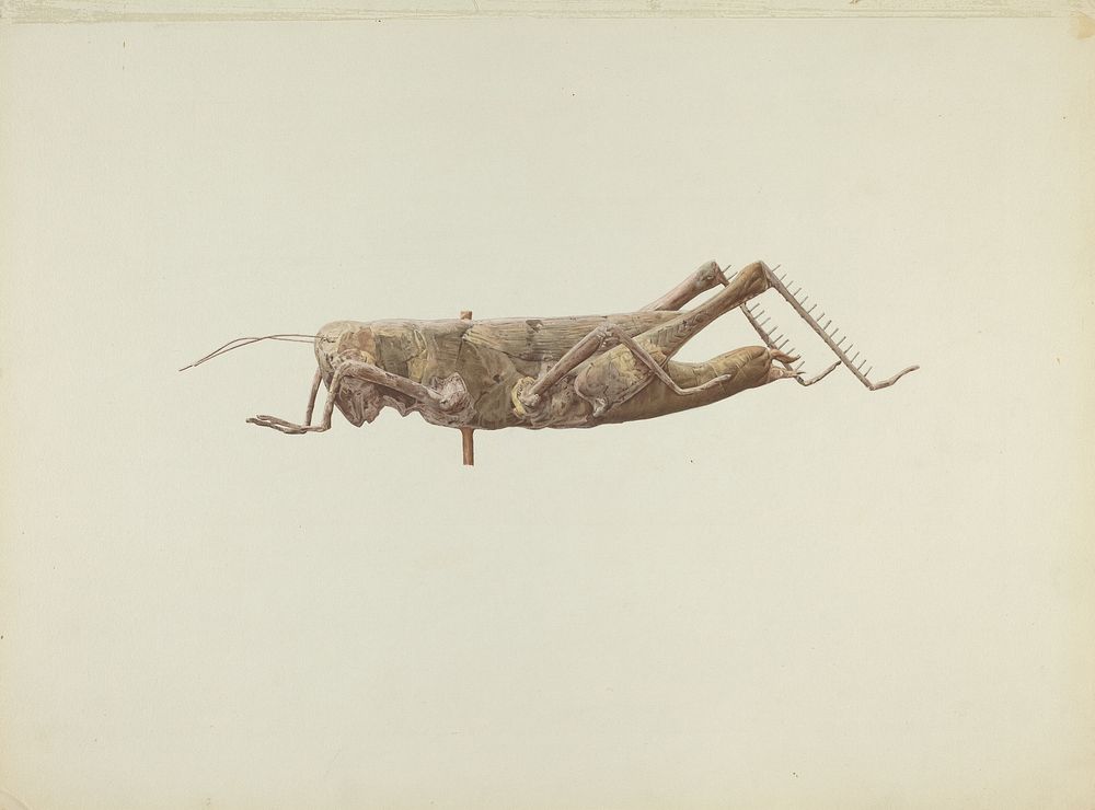 Grasshopper Weather Vane (ca.1936) by Joseph Goldberg.  