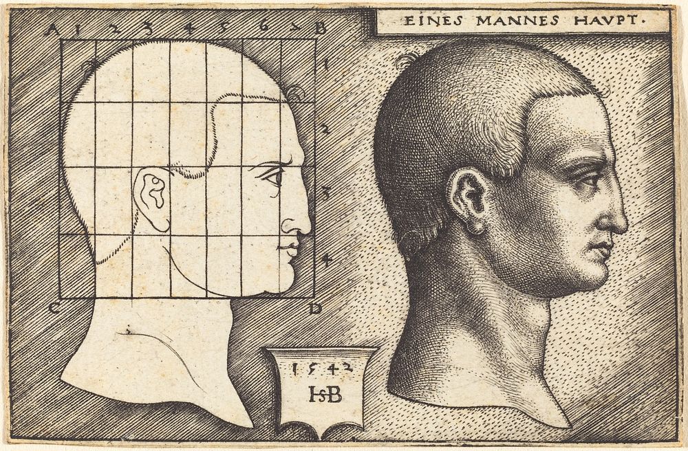 Head of a Man (1542) by Sebald Beham.  