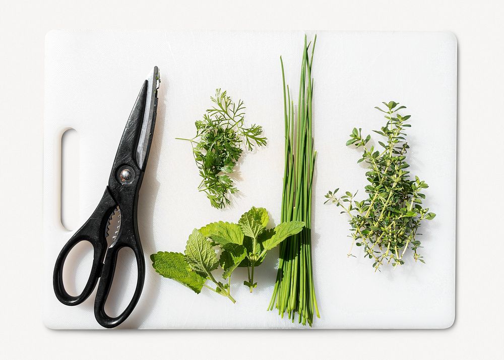 Cooking herbs collage element  psd
