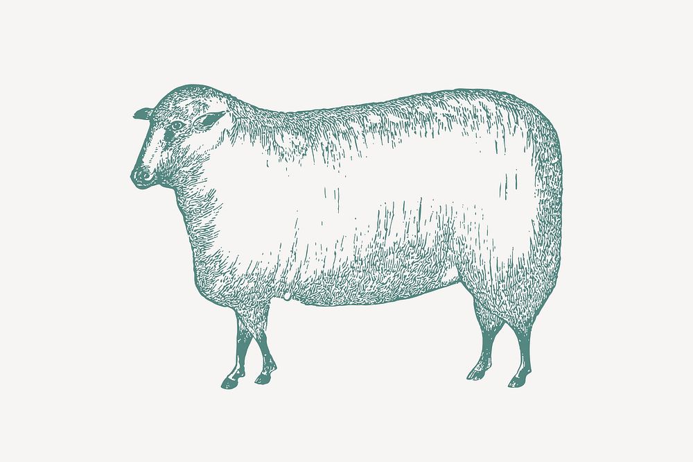 Vintage sheep illustration collage element  vector
