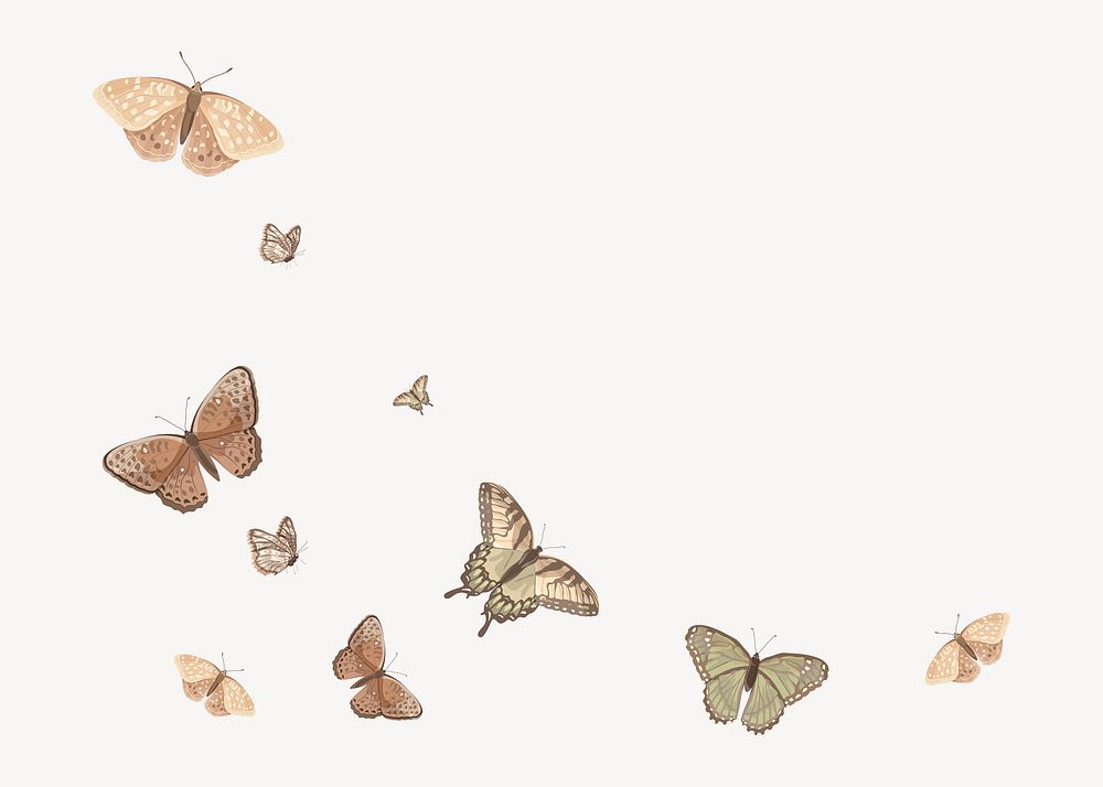 Butterfly border, off white background, vector