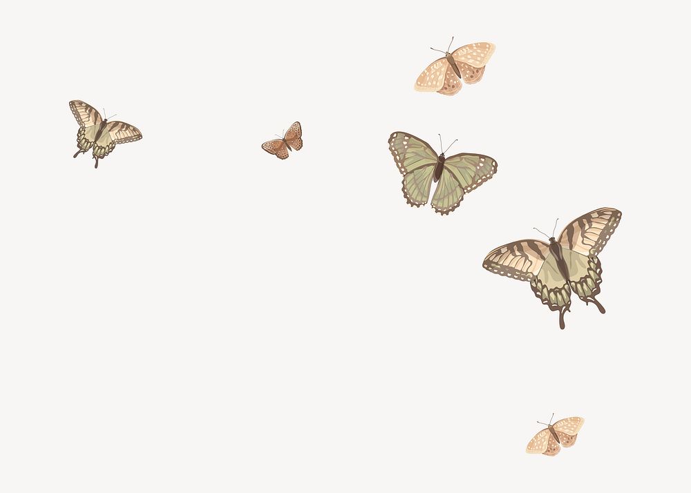 Flying butterflies border background, vector