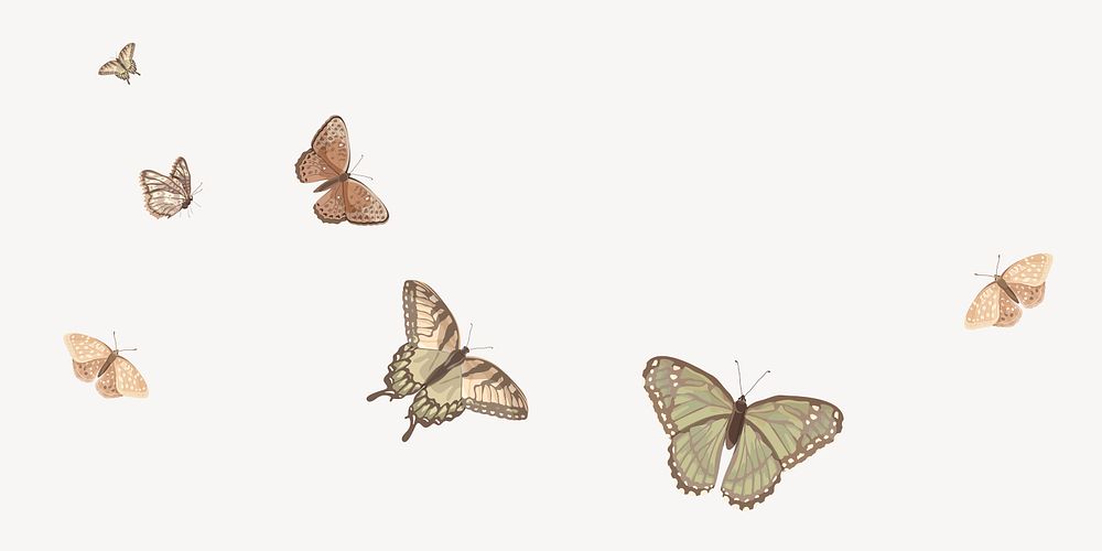 Flying butterflies border background, vector