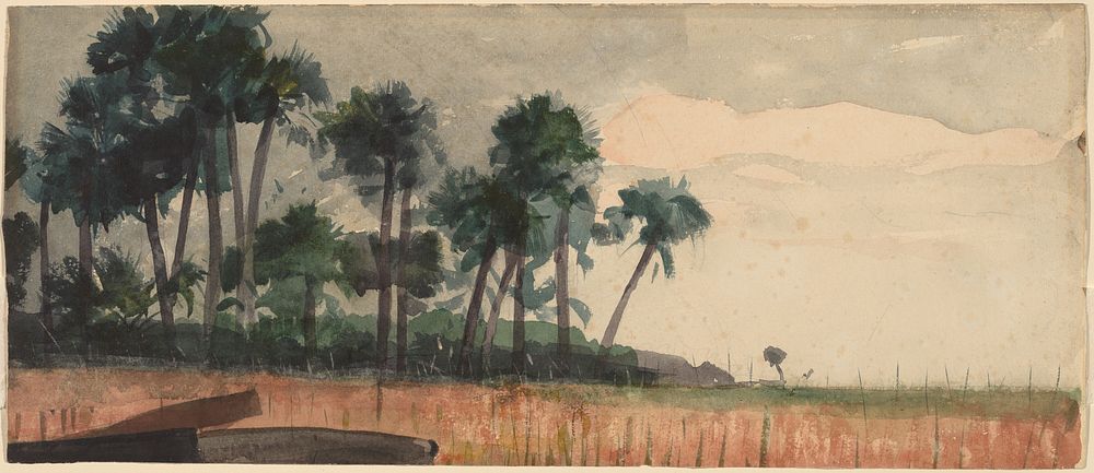 Palm Trees, Red (1890) by Winslow Homer.  