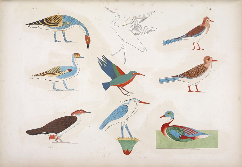 Various species of birds represented in the hunts. Most are distinguished by their ancient names written in hieroglyphs from…