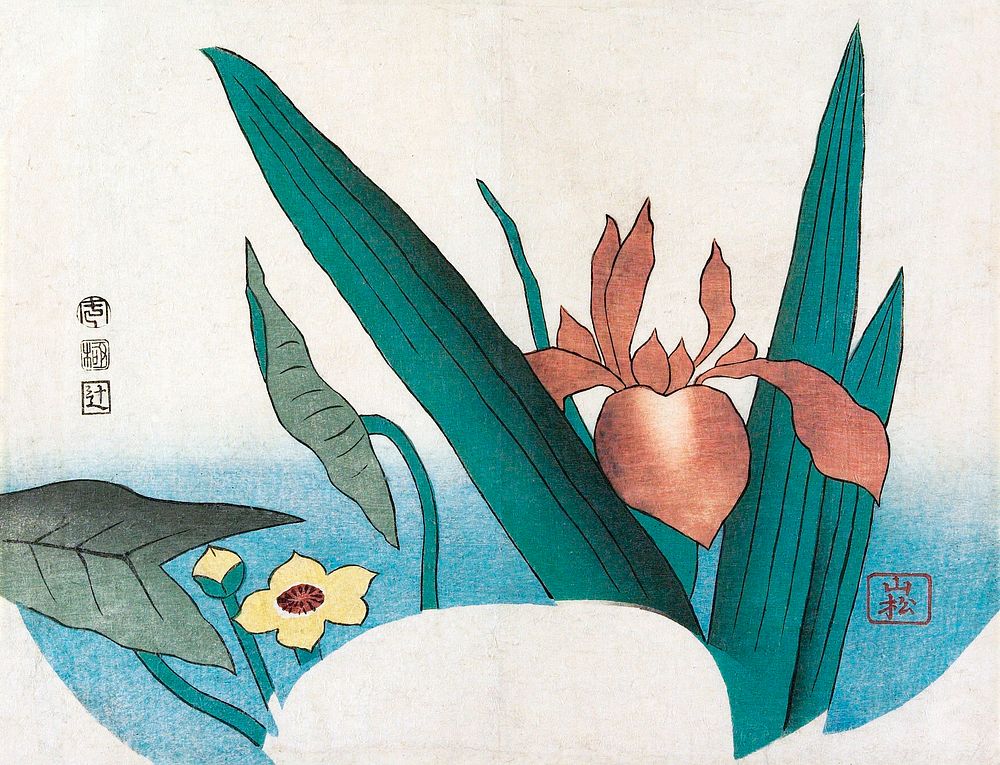Japanese iris and arrowhead flowers (1834) vintage woodblock print by Yamamatsu. Original public domain image from the…
