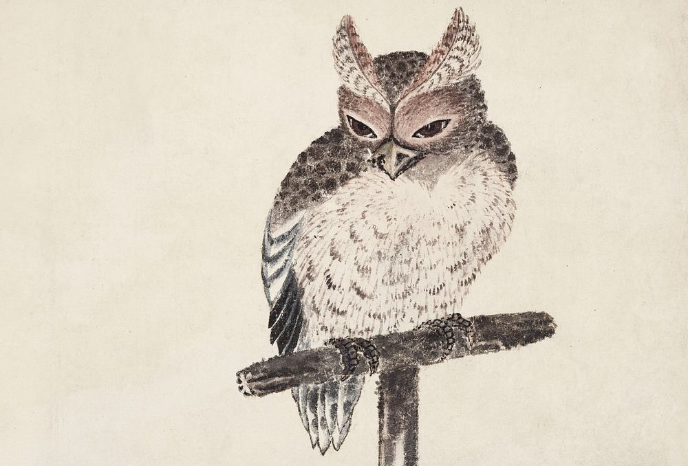 Katsushika Hokusai's owl, from Album of Sketches (1814) vintage Japanese woodblock prints. Original public domain image from…