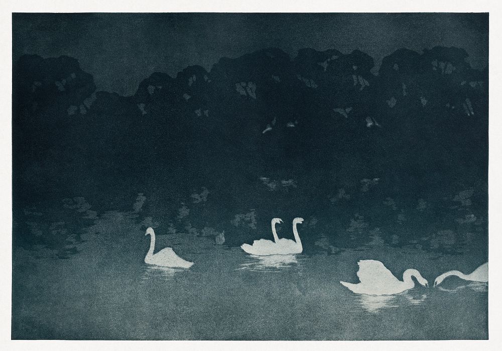 Les Cygnes (1899) by Francis Jourdain. Original public domain image from Estampe Moderne. Digitally enhanced by rawpixel.