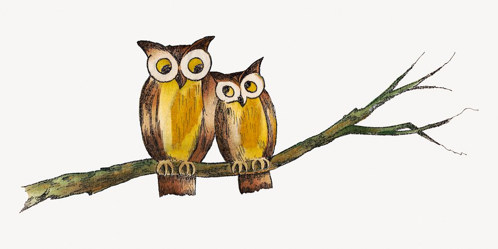 Aesthetic owls illustration.  Remastered by rawpixel