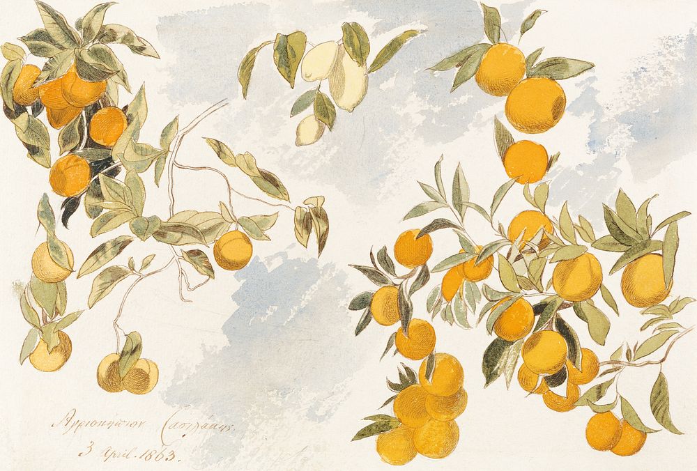 Fruit tree (1863) watercolor by Edward Lear. Original public domain image from Yale Center for British Art. Digitally…