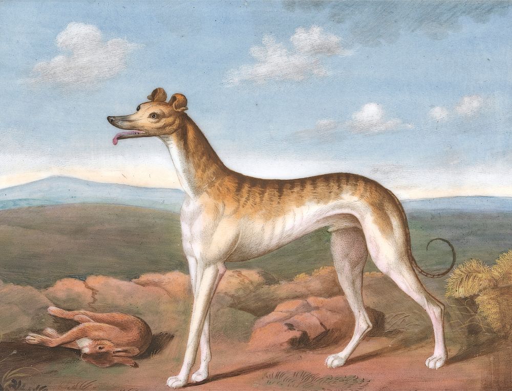 Greyhound: Facing Left, with a Dead Hare at His Feet (ca. 1805) print in high resolution.  