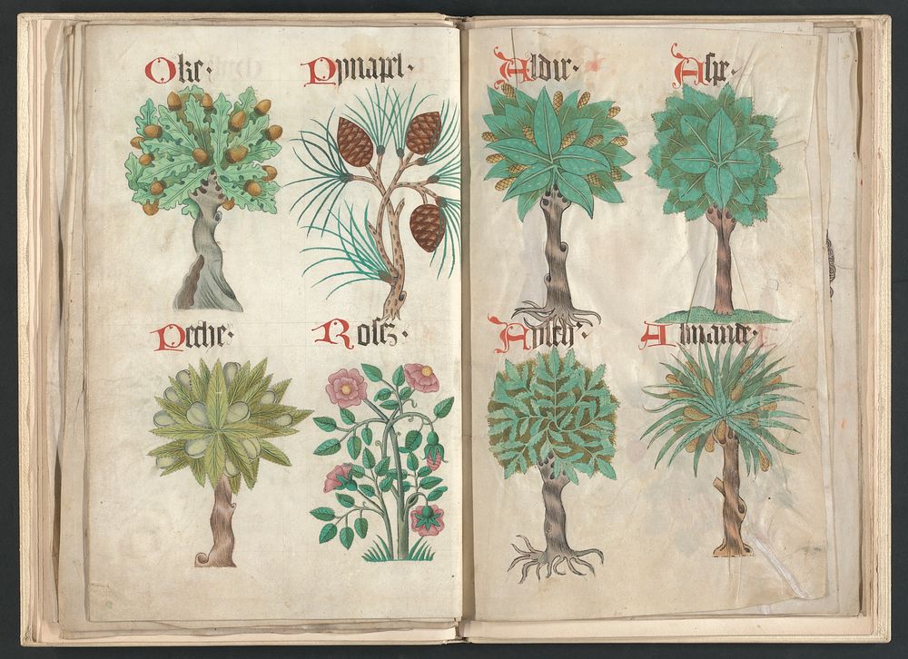 Helmingham herbal and bestiary (1500) print in high resolution   