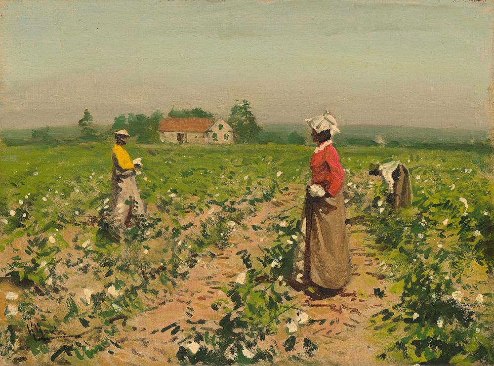 Picking Cotton (ca. 1890) by William Gilbert Gaul.  