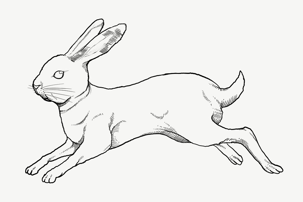 Jumping rabbit, Chinese zodiac animal, line art illustration psd