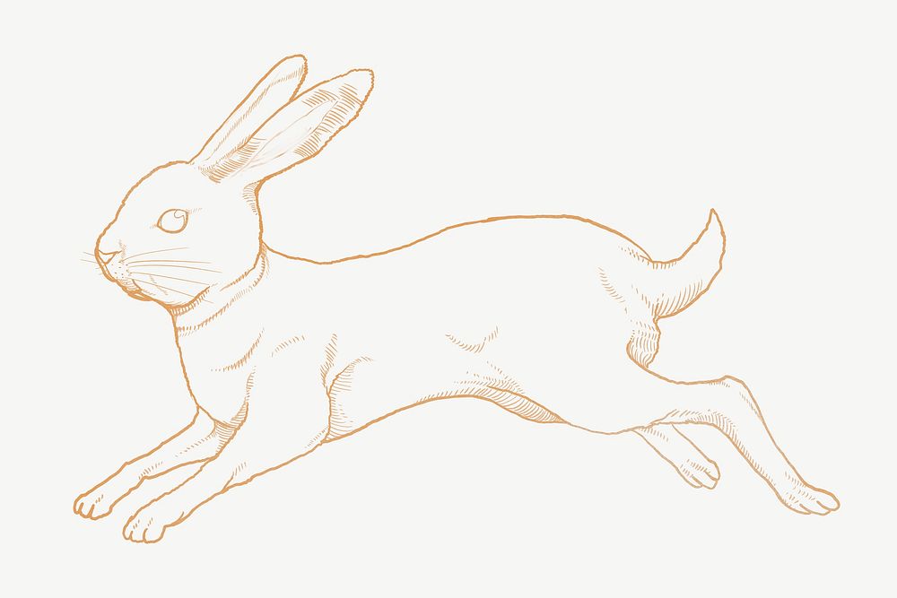 Jumping gold rabbit, Chinese zodiac animal, line art illustration psd