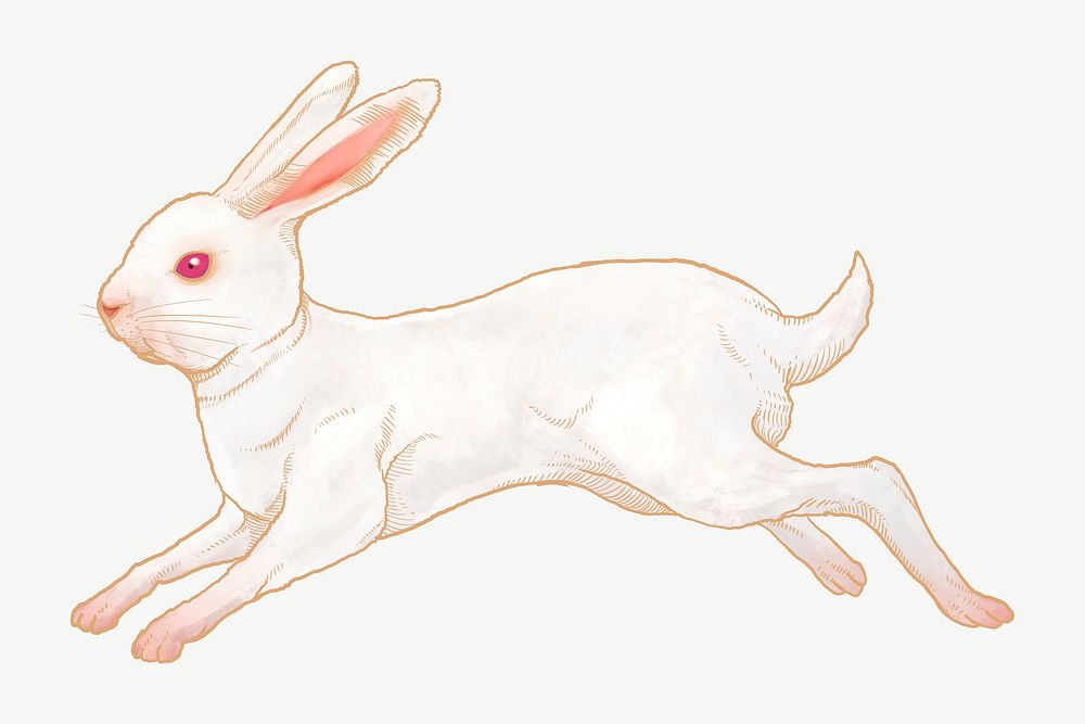 Jumping white rabbit, Chinese zodiac animal illustration psd