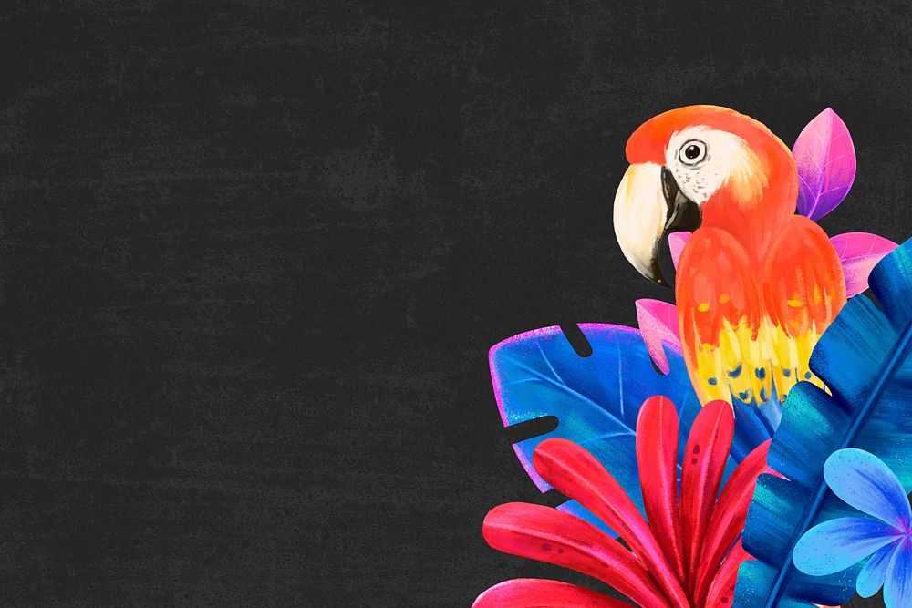 Macaw bird background, black design, animal illustration