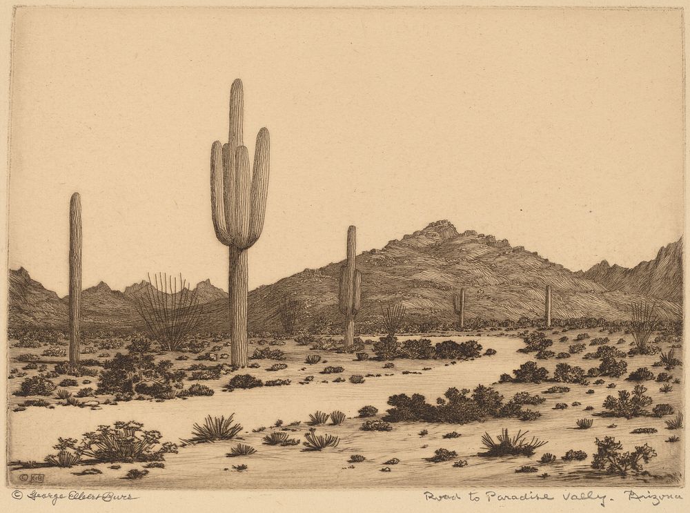 Road to Paradise Valley, Arizona (ca. 1926) by George Elbert Burr.  