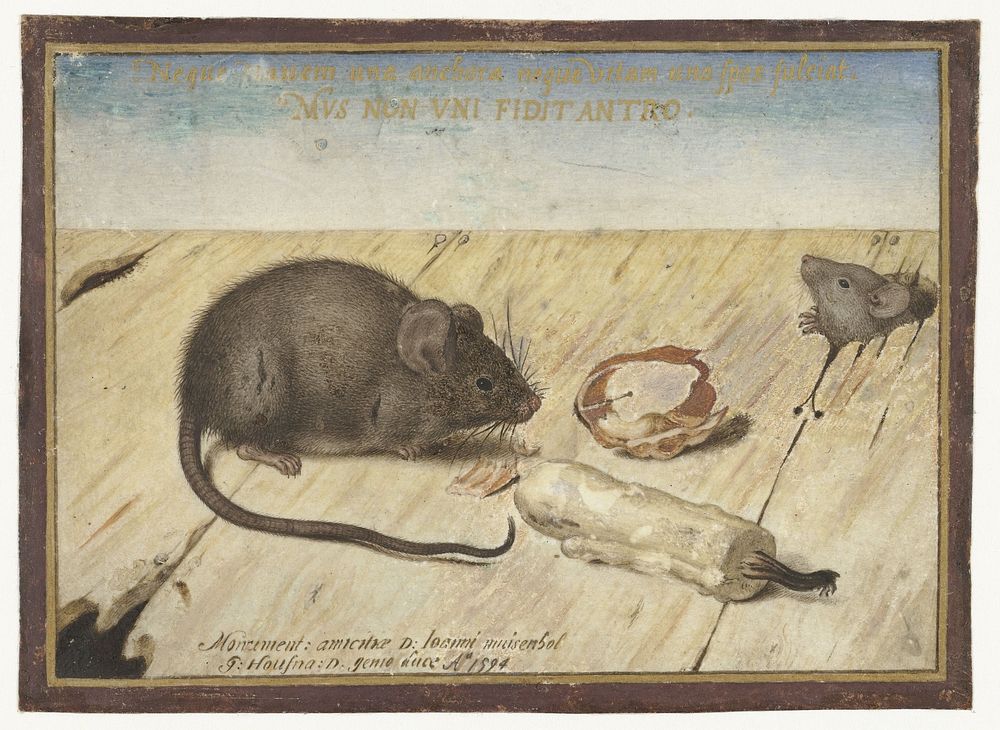 Two Mice (1594) painting in high resolution painting in high resolution by Joris Hoefnagel. 