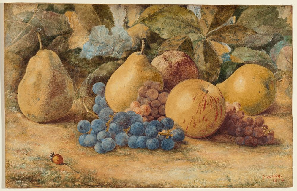 Still Life of Fruit: Apples, Pears, and Grapes on Ground (1874) by John William Hill.  