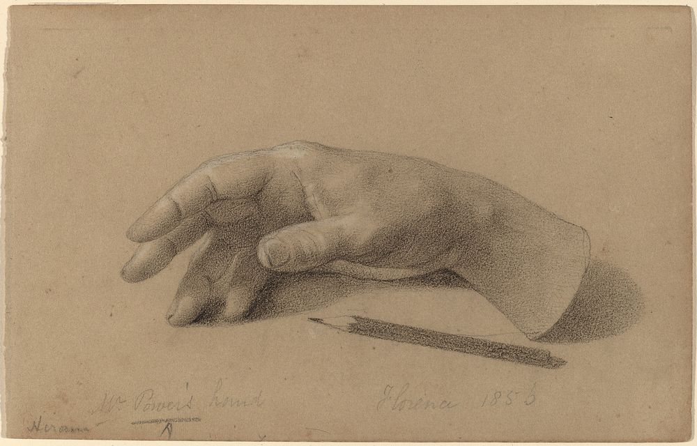Study of a Hand (1856) drawing in high resolution by Hiram Powers  