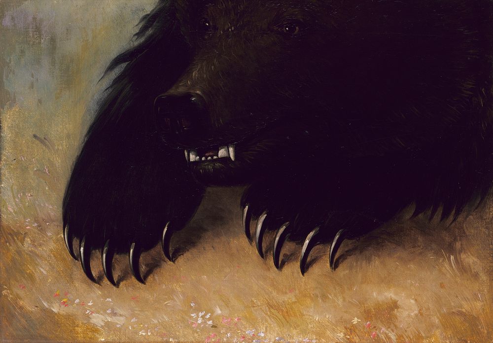 Weapons and Physiognomy of the Grizzly Bear (1846–1848) painting in high resolution by George Catlin.  