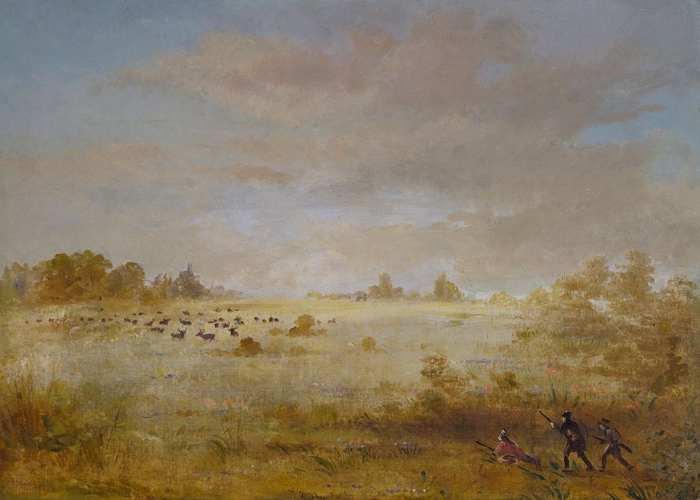 Elk Grazing on an Autumn Prairie (1846&ndash;1848) painting in high resolution by George Catlin.  