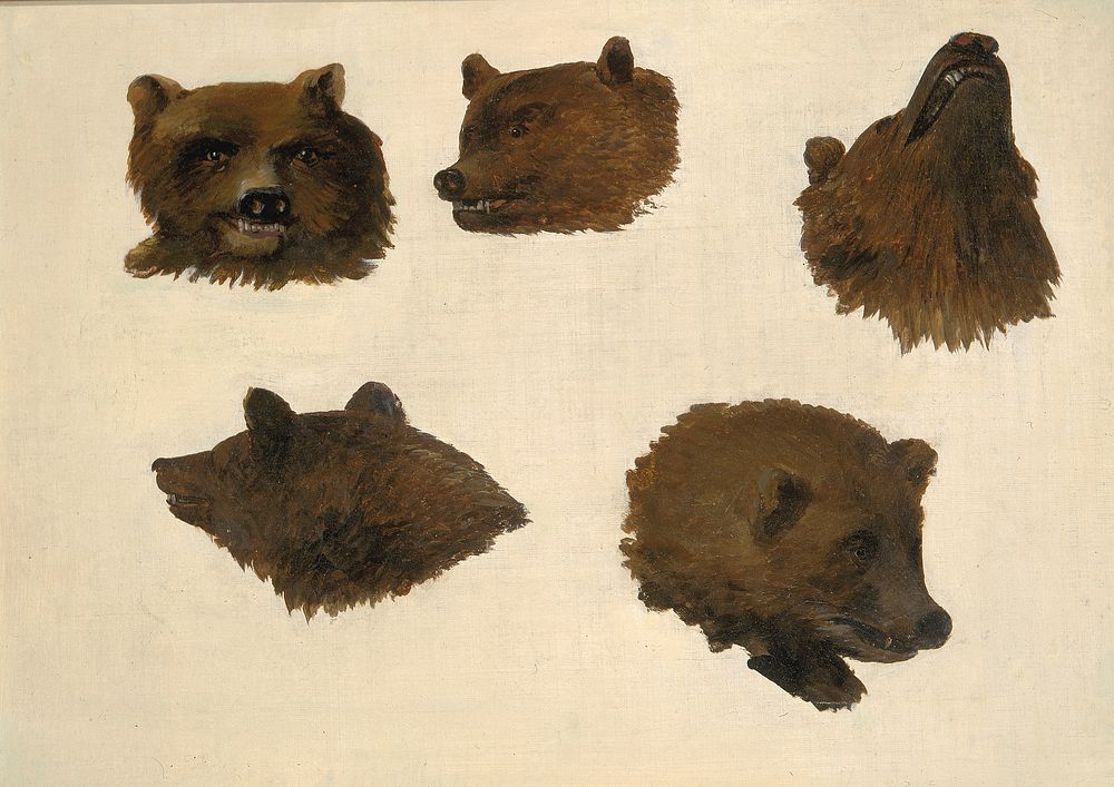 Portraits of Two Grizzly Bears, From Life (1839–1840) painting in high resolution by George Catlin.  