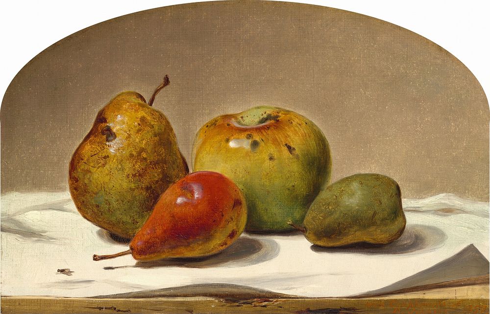 Three Pears and an Apple (1857) by David Johnson.  