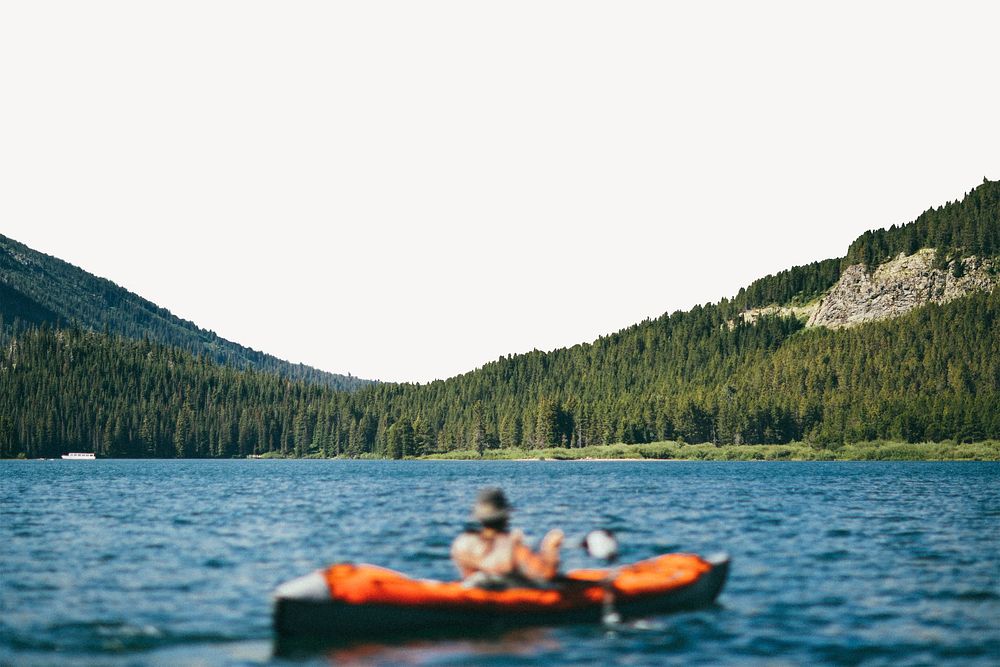 Canoe on lake border, pine forest image psd