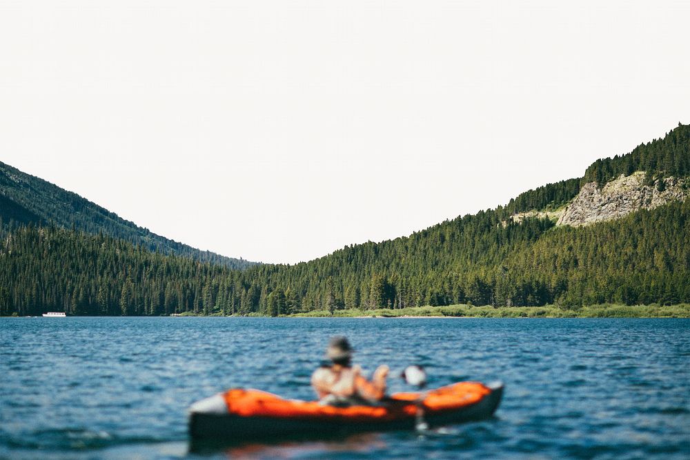 Canoe on lake border, pine forest image
