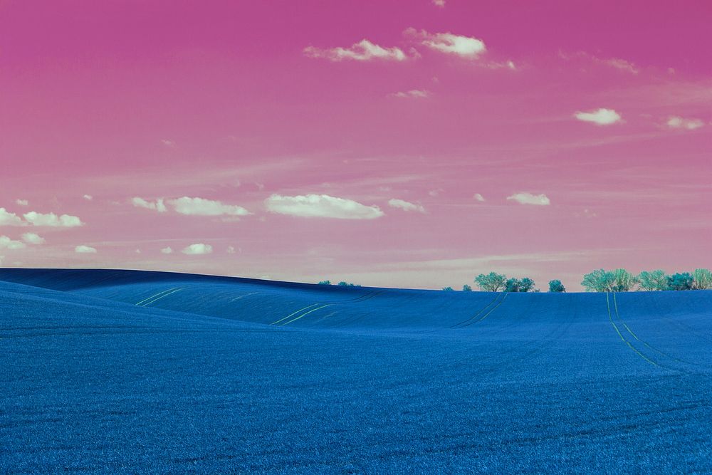 Aesthetic grassland background, pink and blue design 