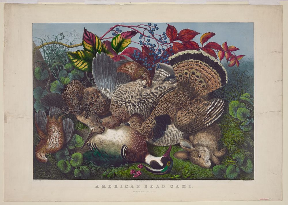 Public domain image from the Library of Congress