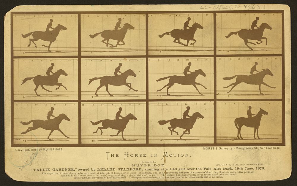 The horse in motion (ca.1878) photography in high resolution by Eadweard Muybridge.  