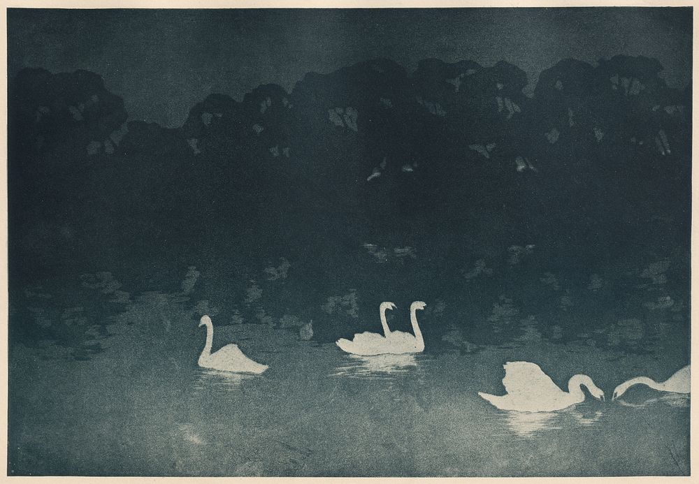 Les Cygnes (1899) print in high resolution by Francis Jourdain. 