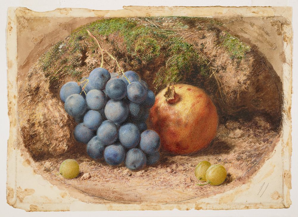 Still Life with Grapes and a Pomegranate (ca. 1825) painting in high resolution by William Henry Hunt.  