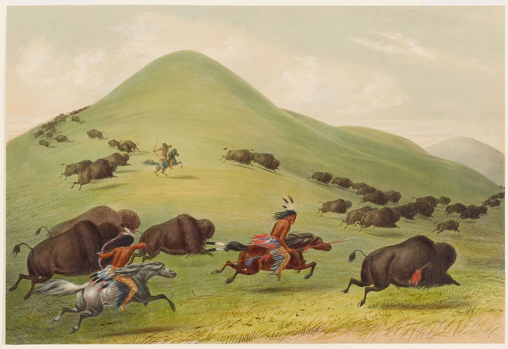 Buffalo Hunt: Chase (1844) painting in high resolution by George Catlin.  