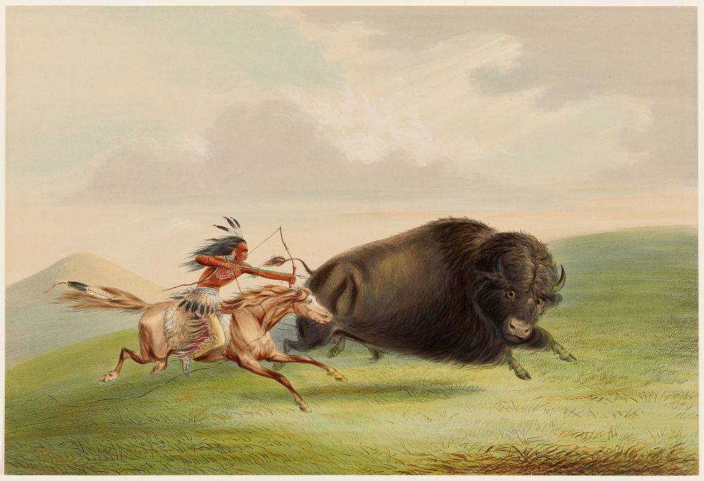Buffalo Hunt, Chase (1844) painting in high resolution by George Catlin.  