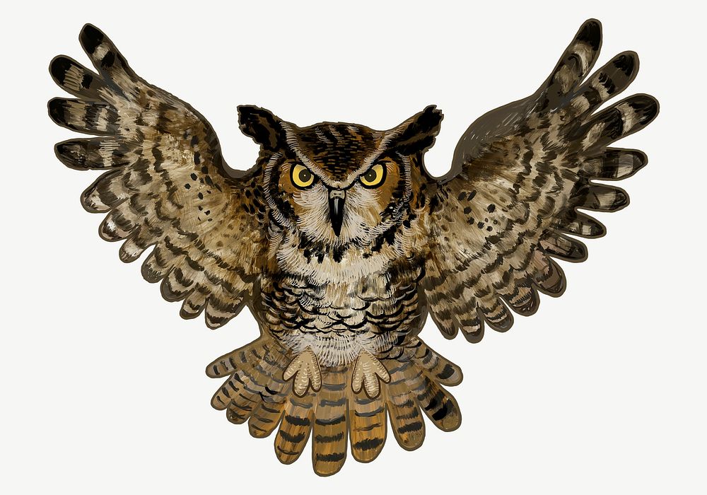 Owl bird illustration collage element psd