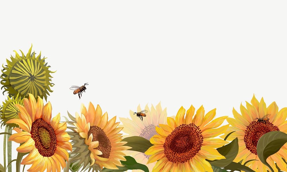 Cartoon Sunflower Images | Free Photos, PNG Stickers, Wallpapers &  Backgrounds - rawpixel