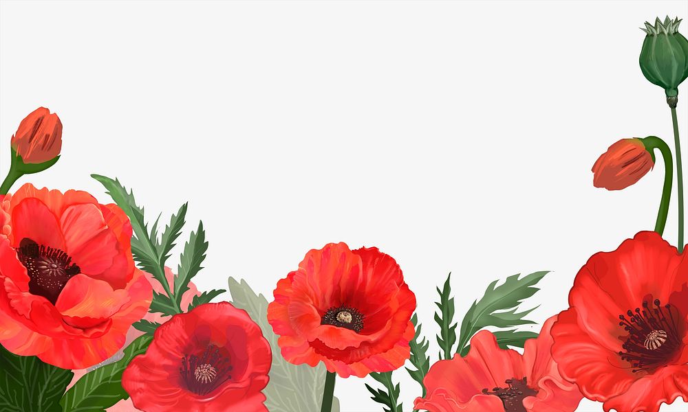 Red poppy flowers border background