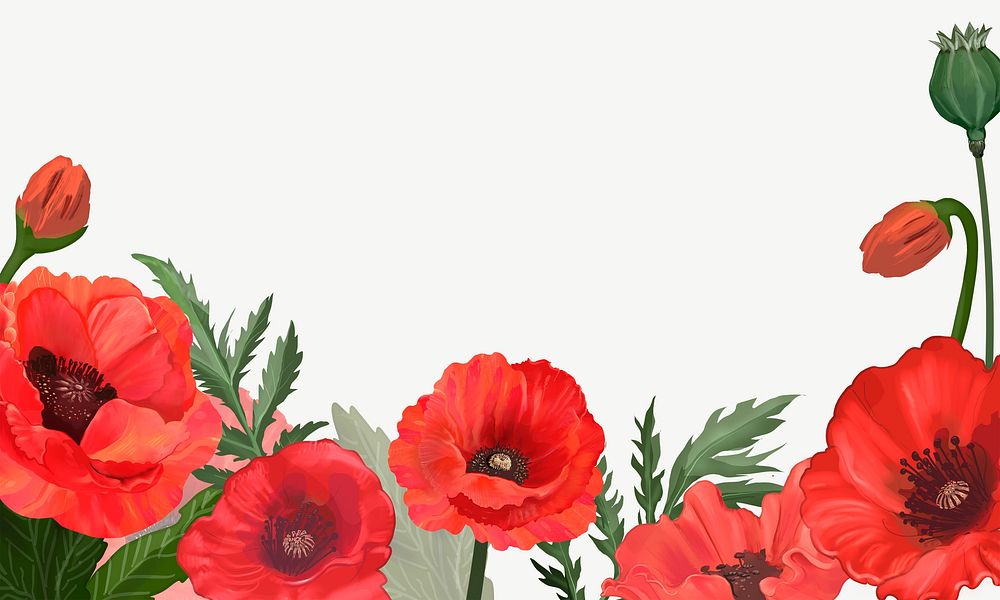 Red poppy flowers border background psd