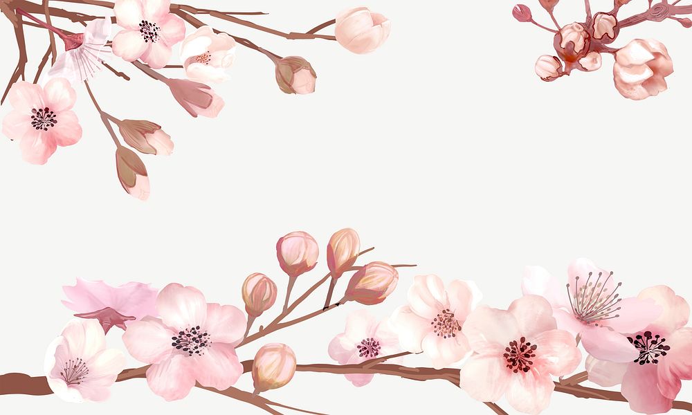 Cherry blossoms frame illustration background psd