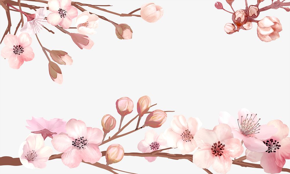 Cherry blossoms frame illustration background