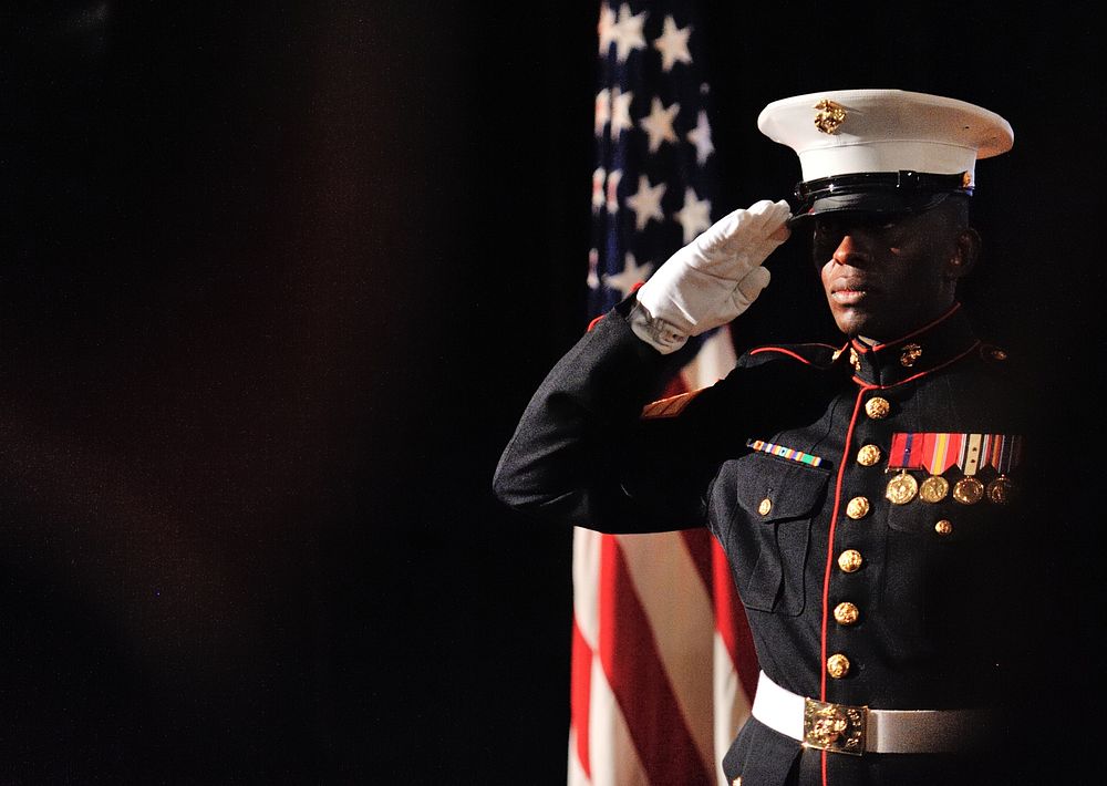 238th Marine Corps Birthday Ball. Original public domain image from Flickr