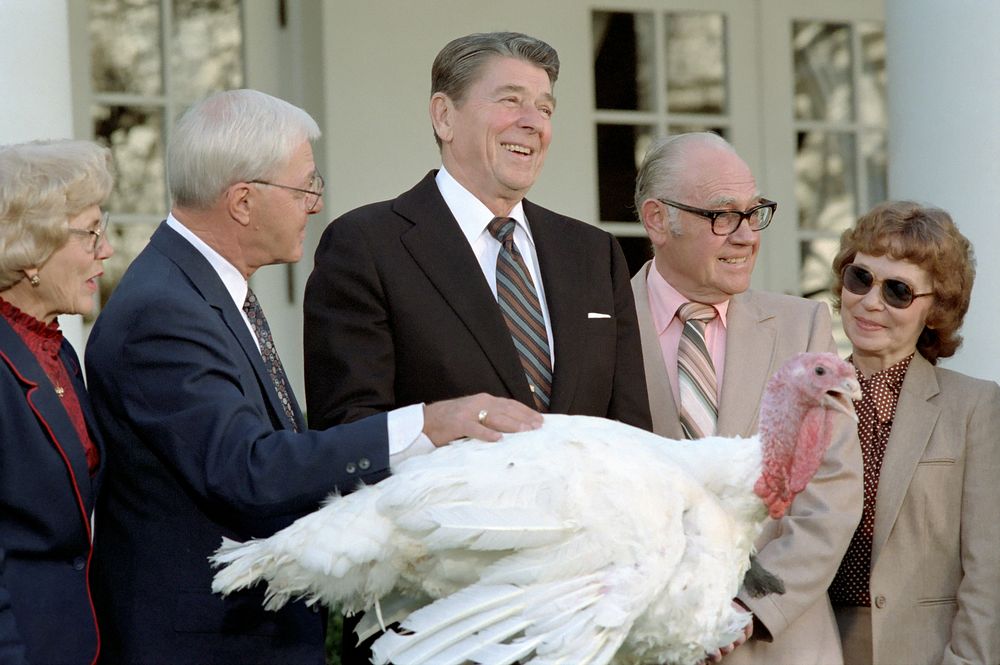 President Reagan attending ceremony to receive the 36th annual Thanksgiving Turkey from representatives of the National…