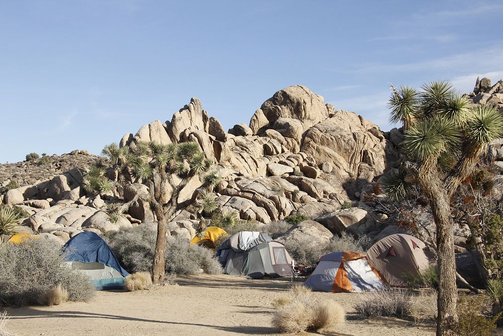 Camping tent, Joshua Tree National Park, southern California